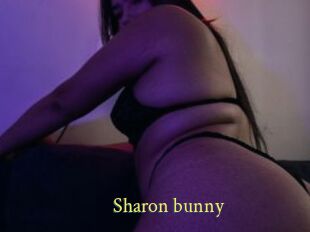 Sharon_bunny