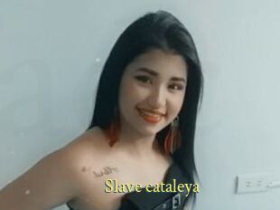 Slave_cataleya