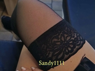 Sandy1111