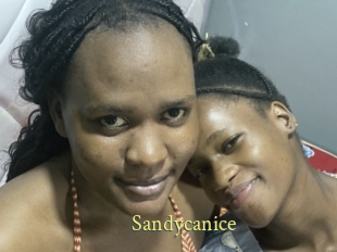 Sandycanice