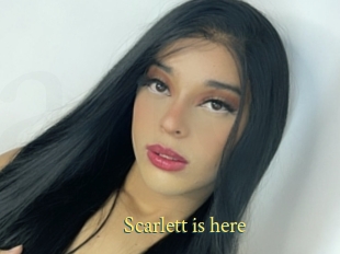 Scarlett_is_here