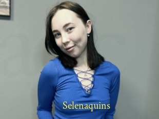 Selenaquins