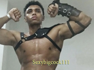 Sexybigcock111