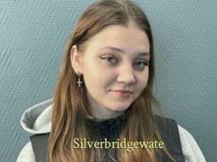 Silverbridgewate