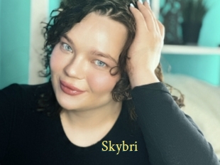 Skybri