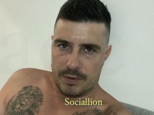 Sociallion