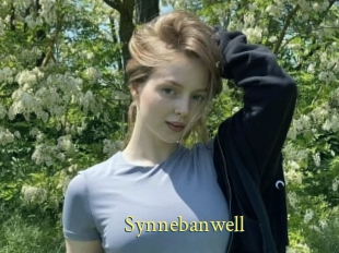 Synnebanwell