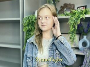 Synnefugler