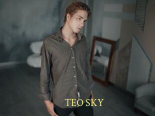 TEO_SKY