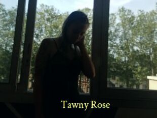 Tawny_Rose