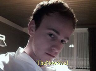 TheNewStud