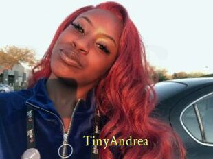 TinyAndrea