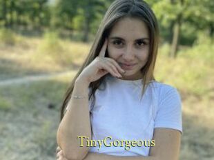 TinyGorgeous