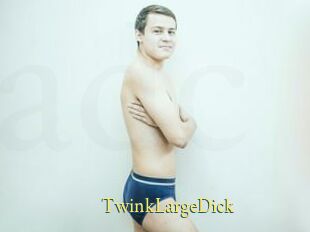 TwinkLargeDick