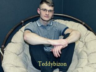 Teddybizon