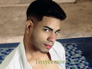 Terrybounce