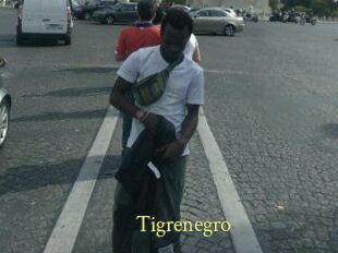 Tigrenegro