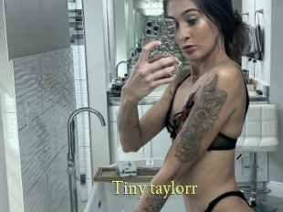 Tiny_taylorr