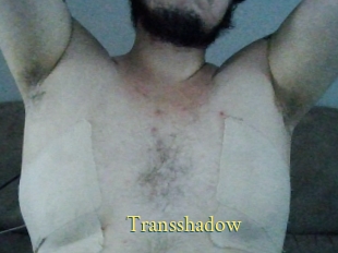 Transshadow