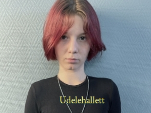 Udelehallett