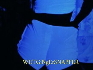 WETGiNgErSNAPPER