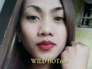 WILD_HOTrose