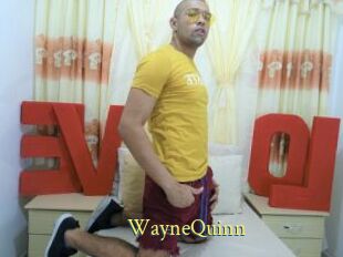 WayneQuinn