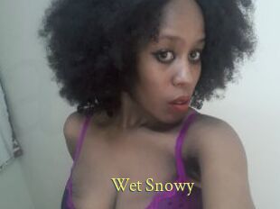 Wet_Snowy