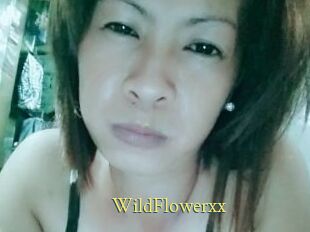 WildFlowerxx