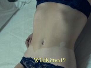 Wild_Kitten19