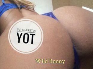 Wild_Bunny_