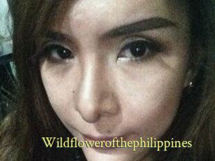 Wildflowerofthephilippines