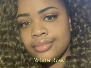 Winter_Rosea