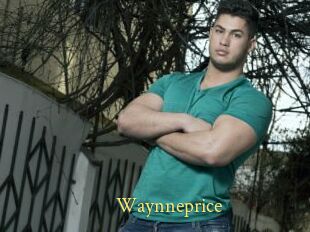 Waynneprice