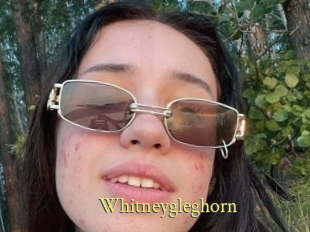 Whitneygleghorn