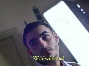 Wildwildstud