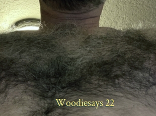 Woodiesays_22