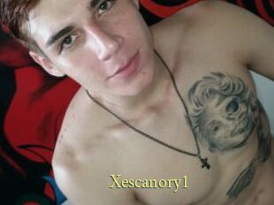 Xescanory1