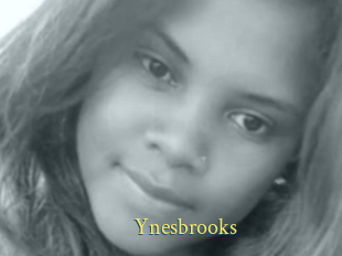 Ynesbrooks