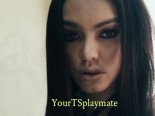 YourTSplaymate