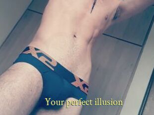 Your_perfect_illusion