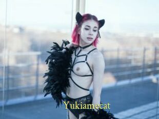 Yukiamecat