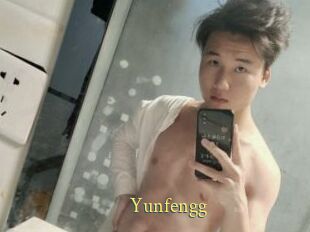 Yunfengg