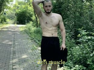 Zefs_muscle