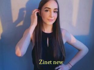 Zinet_new