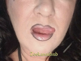 Zoekanaalsub